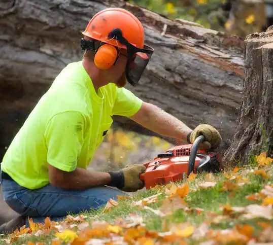 tree services Cawood